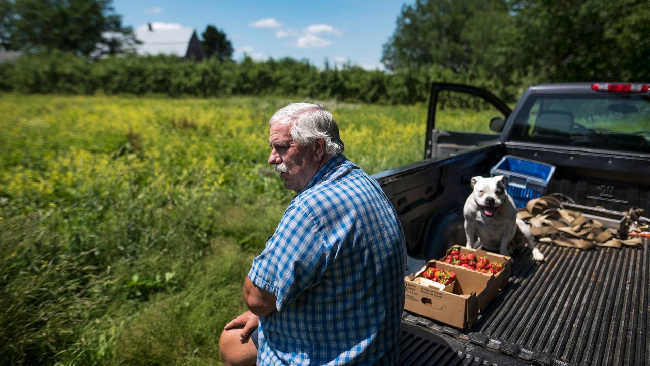 Berry Picking in Nova Scotia Pursuits with Enterprise Enterprise