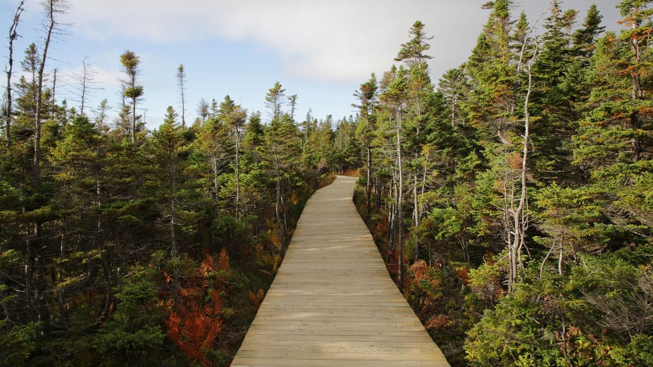 Cabot Trail Drive is a Quest for the Best Pursuits with Enterprise