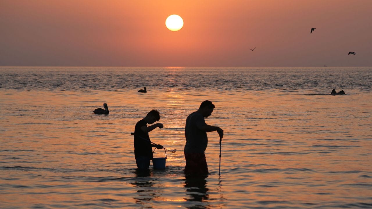 Shellers search in the water as the sun rises at Lighthouse Beach.