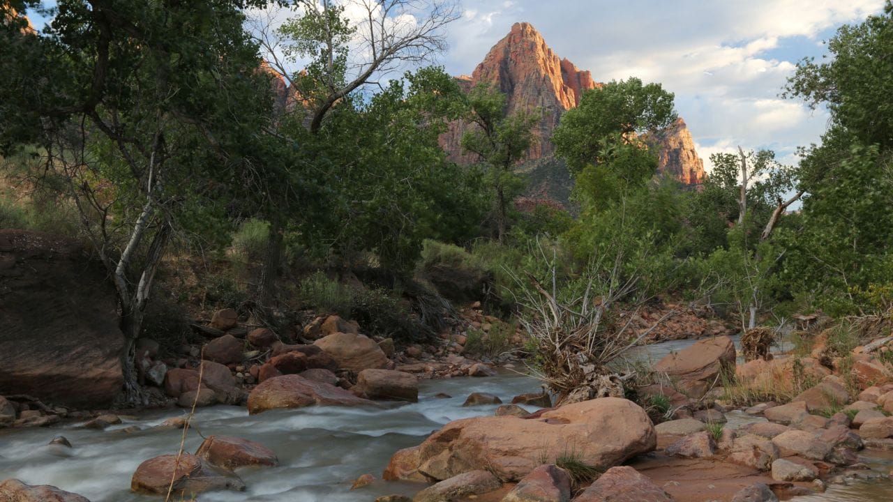 The Virgin River flows past the Watchman as the sun sets in Zion National Park.