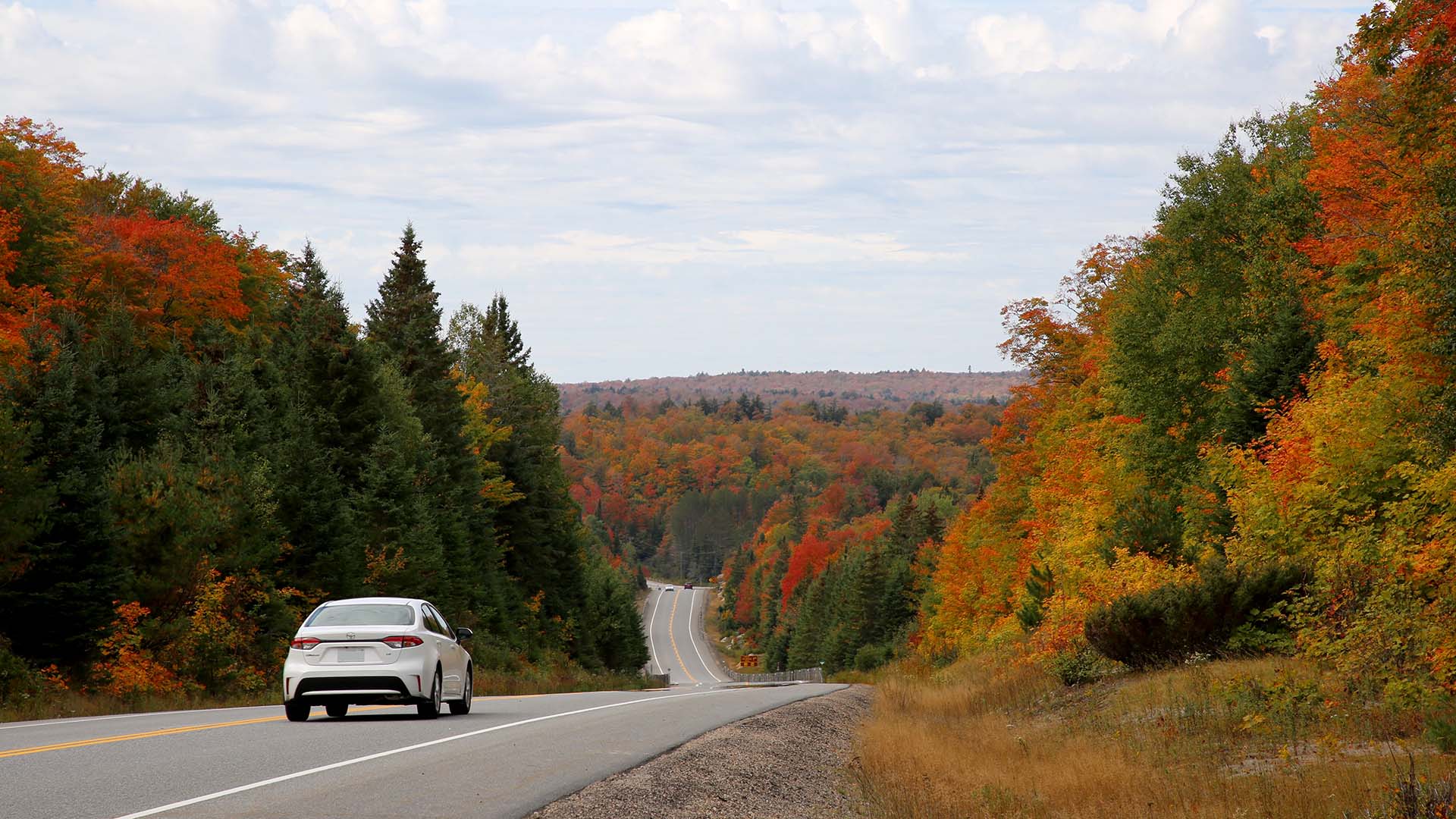 Algonquin Park Scenic Drive Pursuits with Enterprise Enterprise Rent