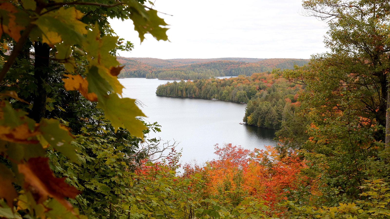 Algonquin Park Scenic Drive Pursuits with Enterprise Enterprise Rent