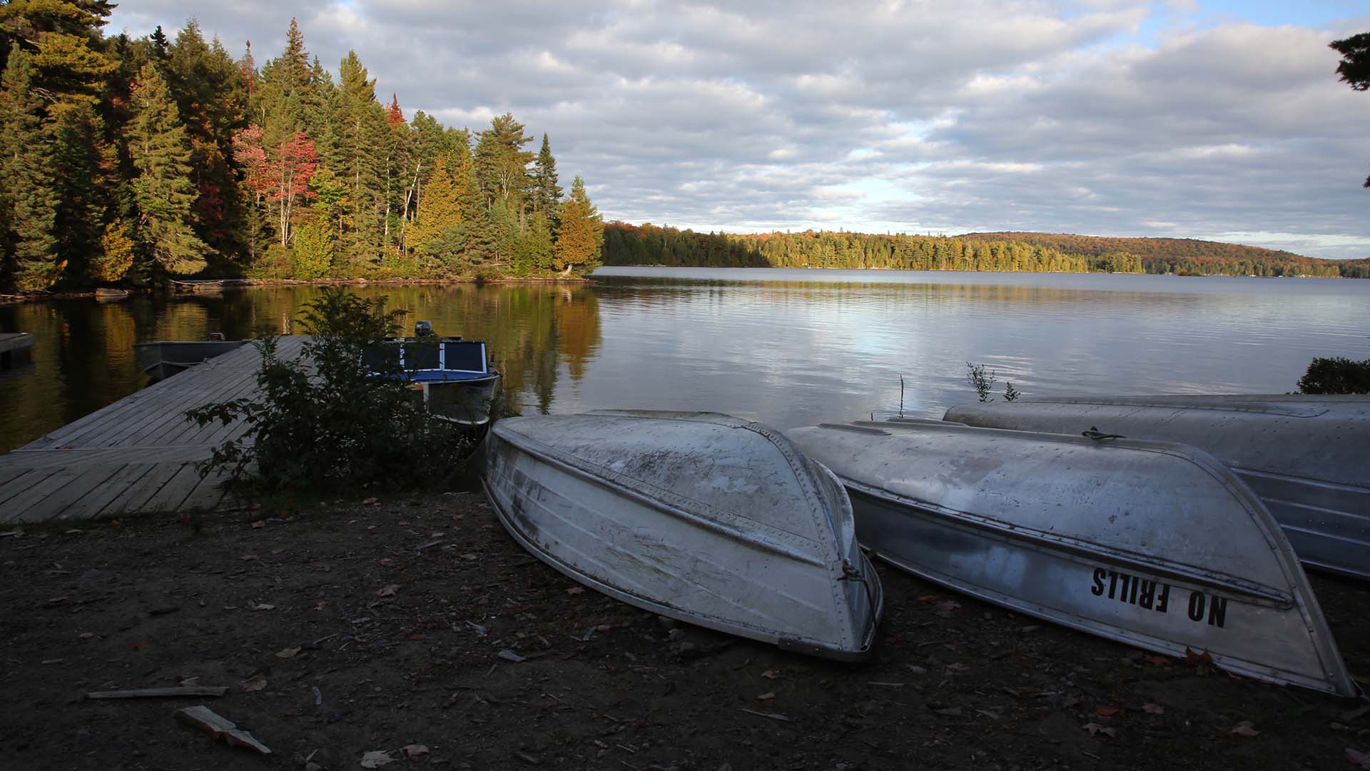 Algonquin Park Scenic Drive Pursuits with Enterprise Enterprise Rent