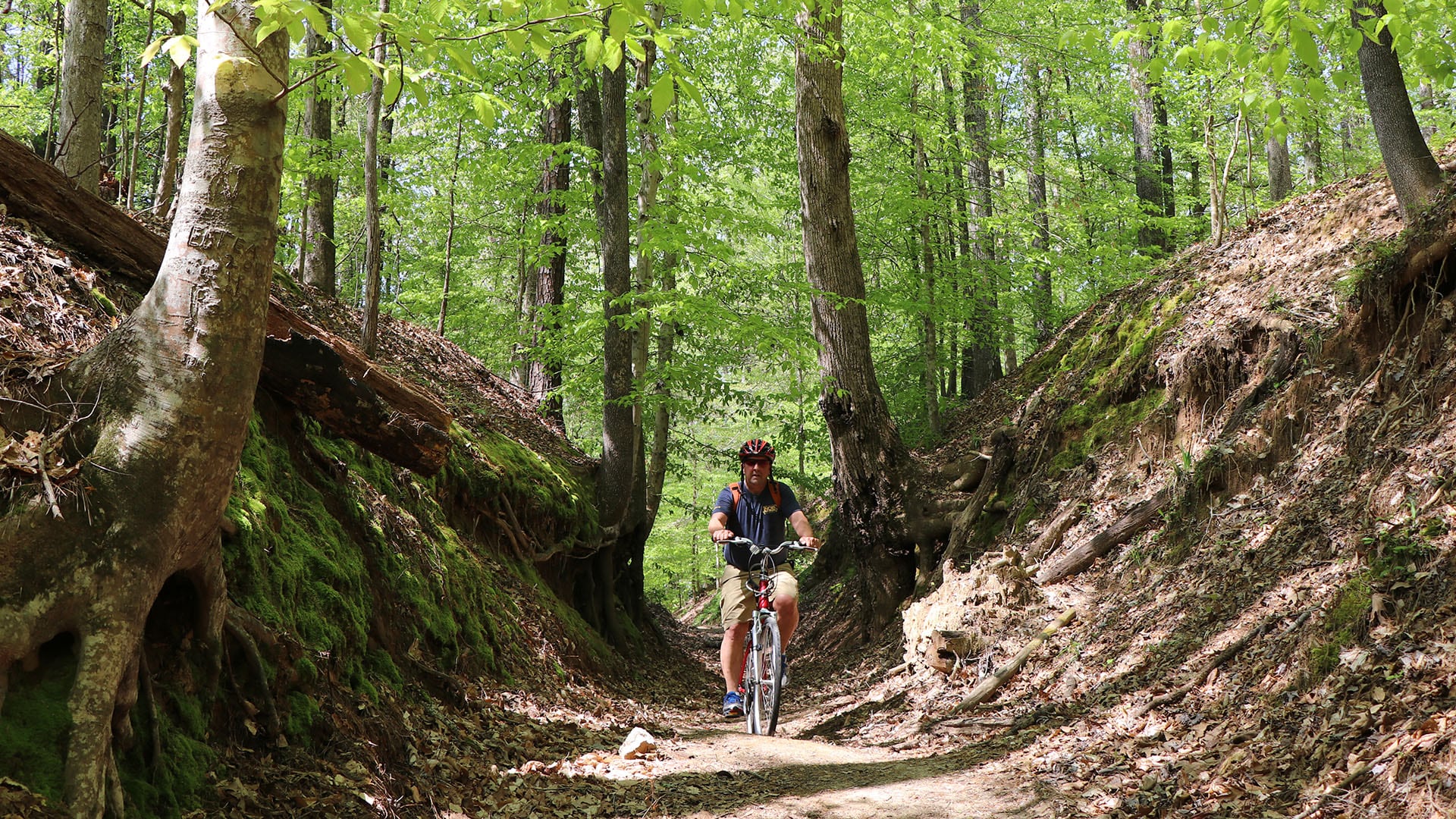 Cruising the Natchez Trace Parkway Pursuits with Enterprise