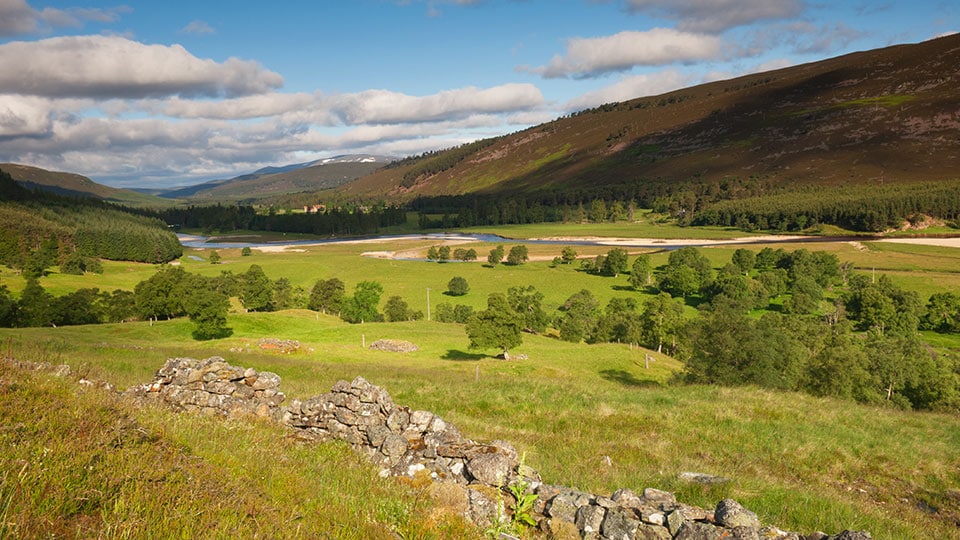 Duthie Park, Aberdeen